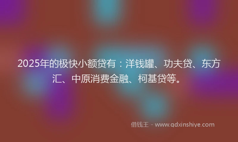 2025年的极快小额贷有：洋钱罐、功夫贷、东方汇、中原消费金融、柯基贷等。