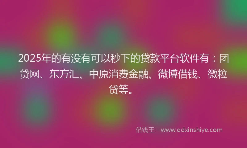 2025年的有没有可以秒下的贷款平台软件有：团贷网、东方汇、中原消费金融、微博借钱、微粒贷等。