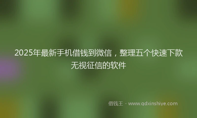 2025年最新手机借钱到微信，整理五个快速下款无视征信的软件