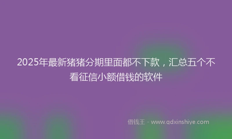 2025年最新猪猪分期里面都不下款，汇总五个不看征信小额借钱的软件