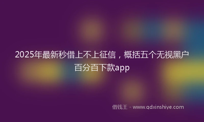 2025年最新秒借上不上征信，概括五个无视黑户百分百下款app