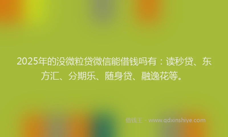 2025年的没微粒贷微信能借钱吗有：读秒贷、东方汇、分期乐、随身贷、融逸花等。