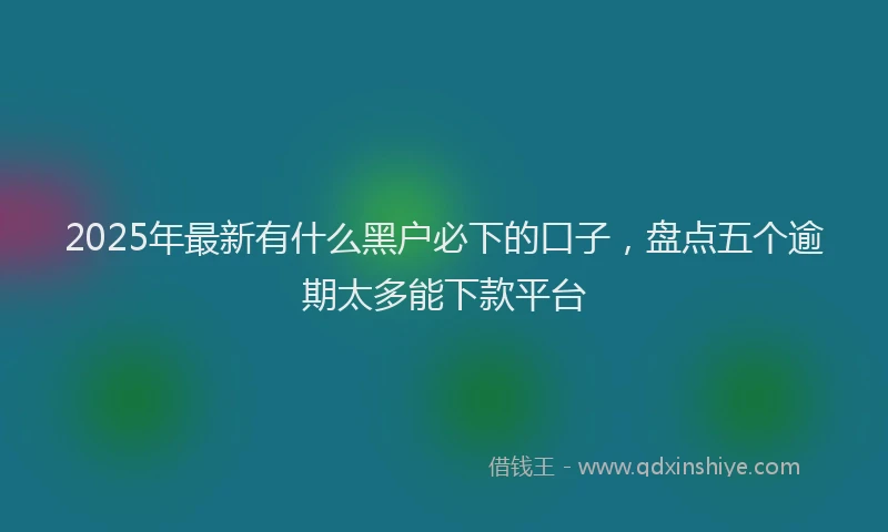 2025年最新有什么黑户必下的口子，盘点五个逾期太多能下款平台