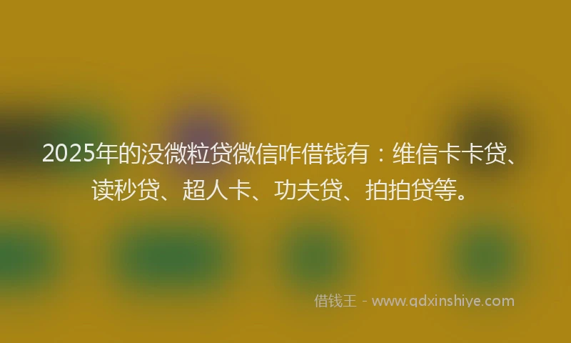 2025年的没微粒贷微信咋借钱有：维信卡卡贷、读秒贷、超人卡、功夫贷、拍拍贷等。