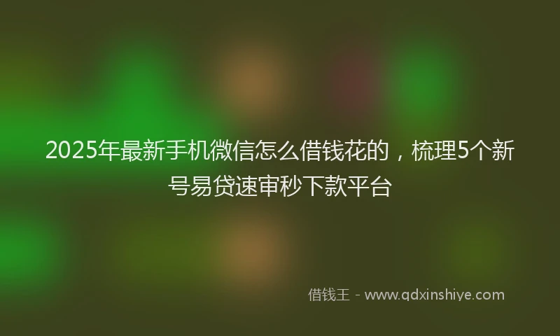 2025年最新手机微信怎么借钱花的，梳理5个新号易贷速审秒下款平台