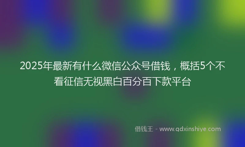 2025年最新有什么微信公众号借钱，概括5个不看征信无视黑白百分百下款平台