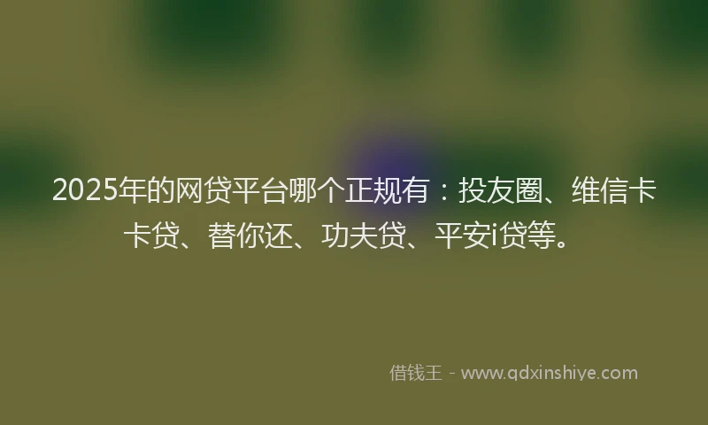 2025年的网贷平台哪个正规有:投友圈、维信卡卡贷、替你还、功夫贷、平安i贷等。