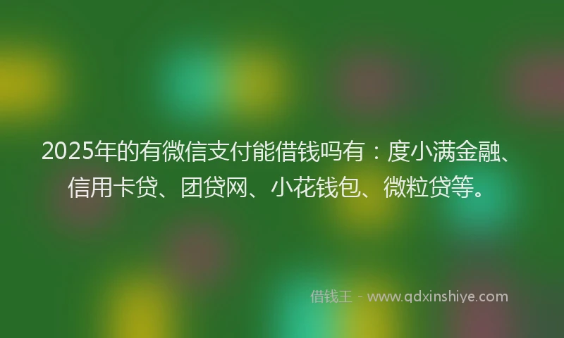 2025年的有微信支付能借钱吗有：度小满金融、信用卡贷、团贷网、小花钱包、微粒贷等。