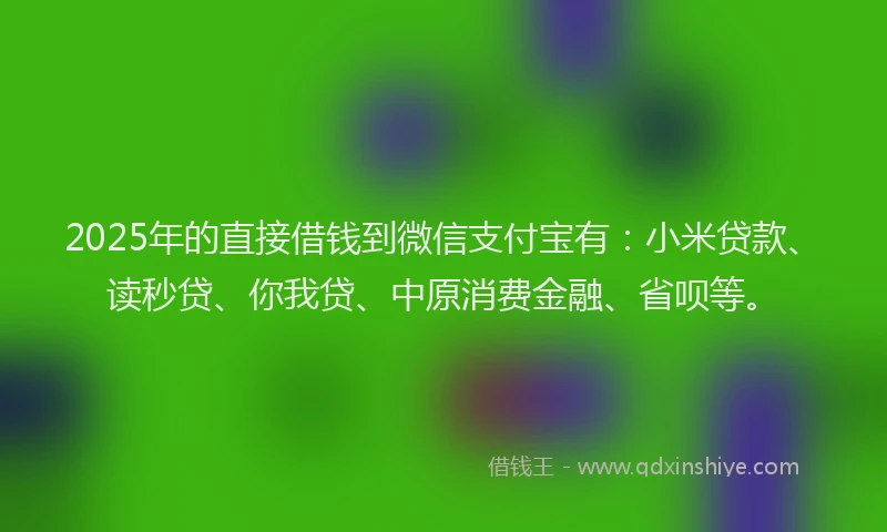 2025年的直接借钱到微信支付宝有：小米贷款、读秒贷、你我贷、中原消费金融、省呗等。