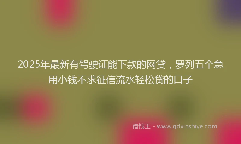2025年最新有驾驶证能下款的网贷，罗列五个急用小钱不求征信流水轻松贷的口子