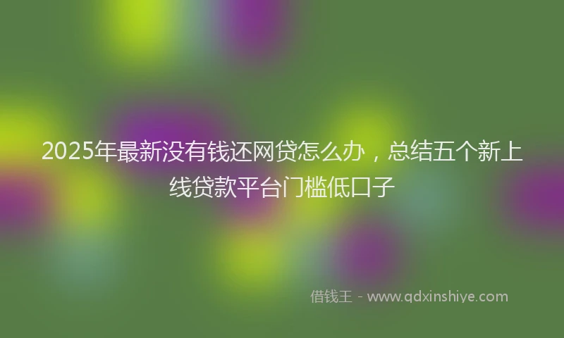 2025年最新没有钱还网贷怎么办，总结五个新上线贷款平台门槛低口子