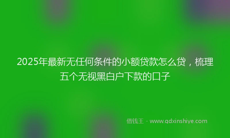2025年最新无任何条件的小额贷款怎么贷，梳理五个无视黑白户下款的口子