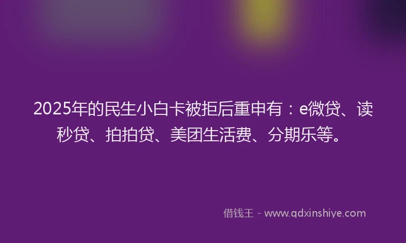 2025年的民生小白卡被拒后重申有：e微贷、读秒贷、拍拍贷、美团生活费、分期乐等。