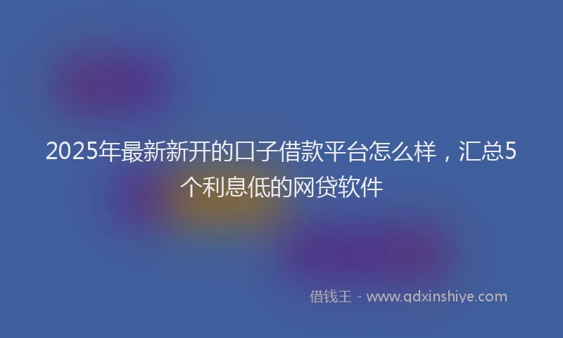 2025年最新新开的口子借款平台怎么样，汇总5个利息低的网贷软件