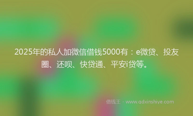 2025年的私人加微信借钱5000有：e微贷、投友圈、还呗、快贷通、平安i贷等。