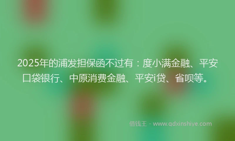 2025年的浦发担保函不过有：度小满金融、平安口袋银行、中原消费金融、平安i贷、省呗等。