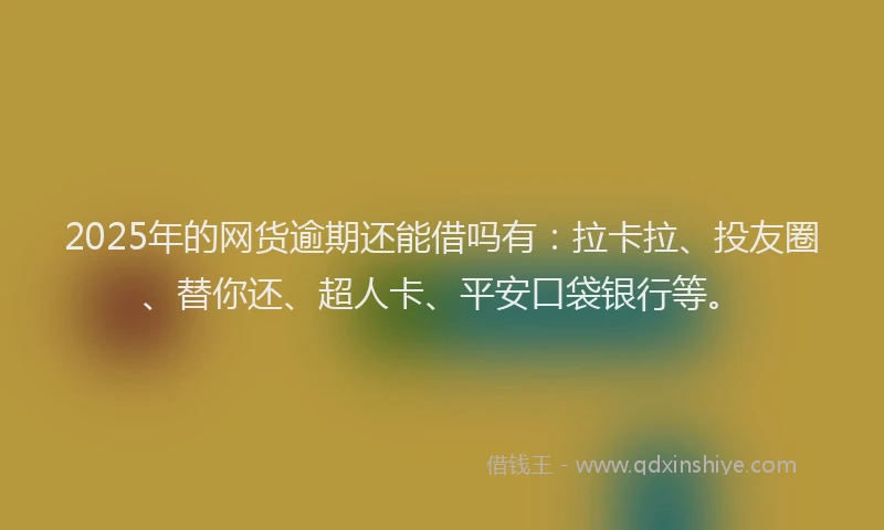 2025年的网货逾期还能借吗有：拉卡拉、投友圈、替你还、超人卡、平安口袋银行等。
