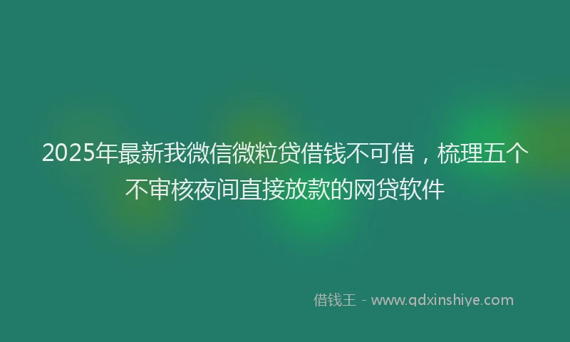 2025年最新我微信微粒贷借钱不可借，梳理五个不审核夜间直接放款的网贷软件