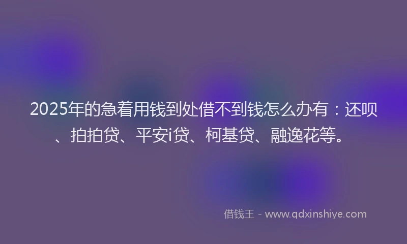 2025年的急着用钱到处借不到钱怎么办有：还呗、拍拍贷、平安i贷、柯基贷、融逸花等。