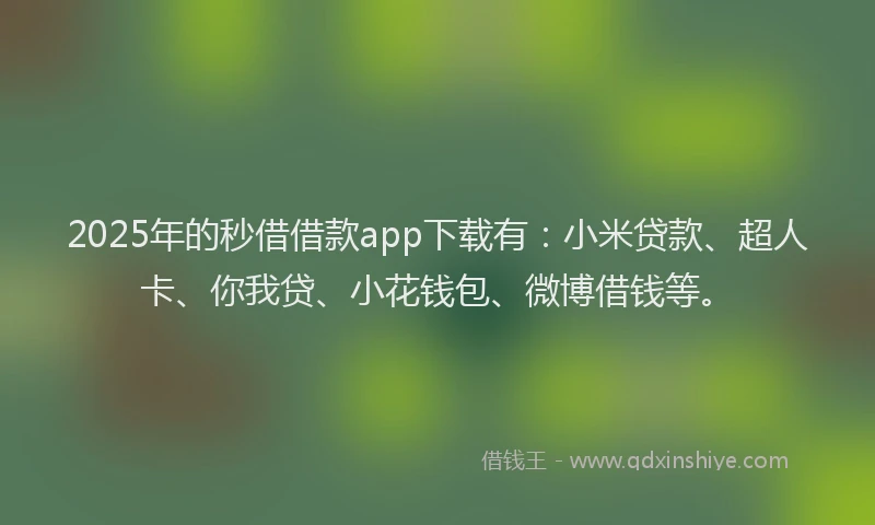 2025年的秒借借款app下载有：小米贷款、超人卡、你我贷、小花钱包、微博借钱等。