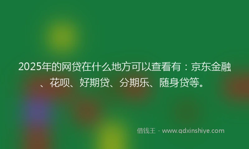 2025年的网贷在什么地方可以查看有：京东金融、花呗、好期贷、分期乐、随身贷等。