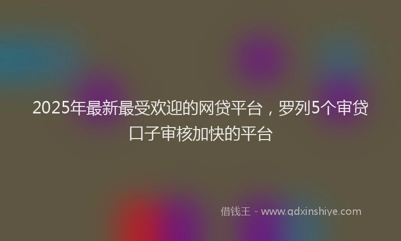 2025年最新最受欢迎的网贷平台，罗列5个审贷口子审核加快的平台