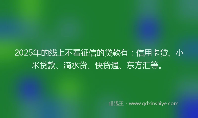 2025年的线上不看征信的贷款有：信用卡贷、小米贷款、滴水贷、快贷通、东方汇等。