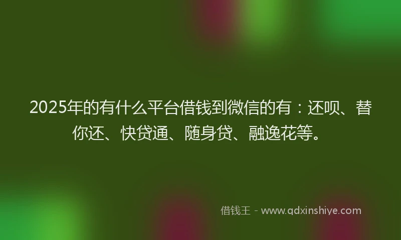 2025年的有什么平台借钱到微信的有：还呗、替你还、快贷通、随身贷、融逸花等。