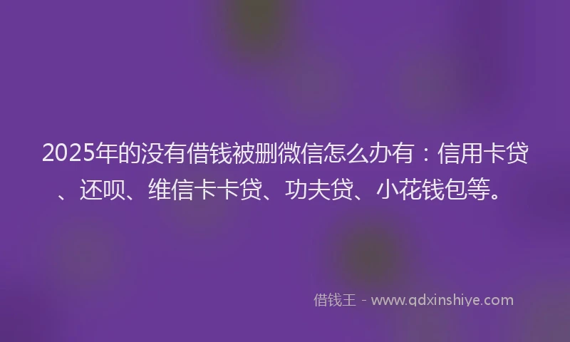 2025年的没有借钱被删微信怎么办有：信用卡贷、还呗、维信卡卡贷、功夫贷、小花钱包等。