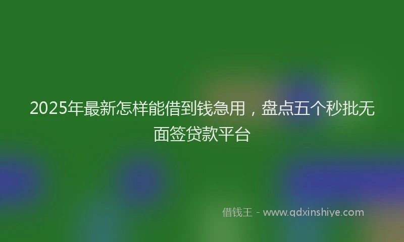 2025年最新怎样能借到钱急用，盘点五个秒批无面签贷款平台