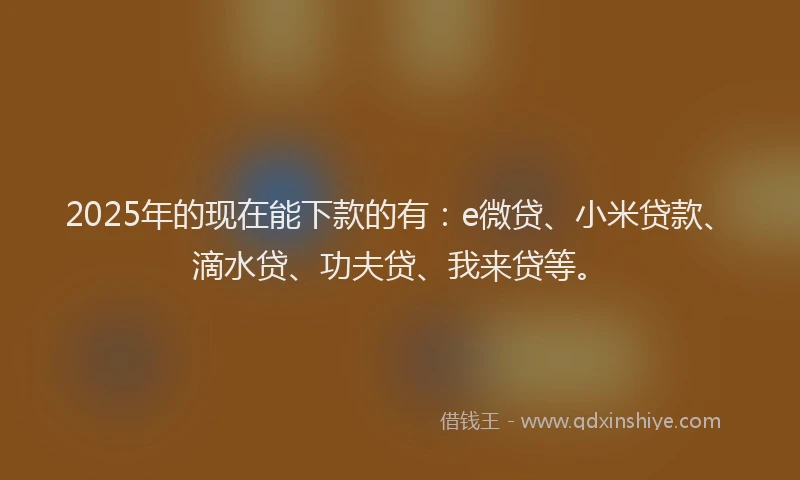 2025年的现在能下款的有：e微贷、小米贷款、滴水贷、功夫贷、我来贷等。