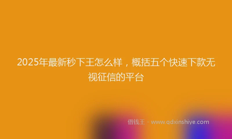 2025年最新秒下王怎么样，概括五个快速下款无视征信的平台