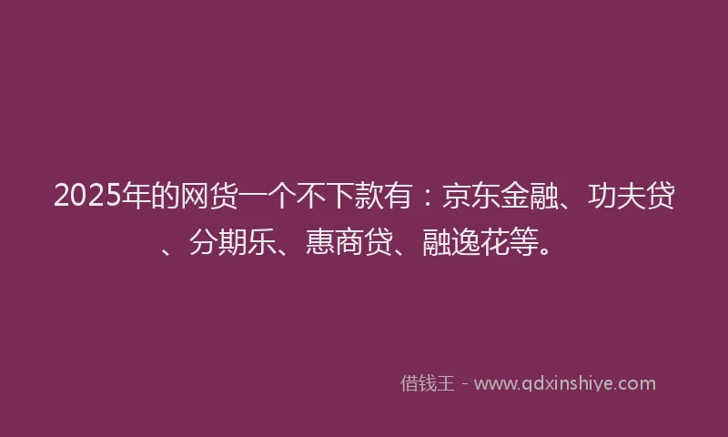 2025年的网货一个不下款有：京东金融、功夫贷、分期乐、惠商贷、融逸花等。