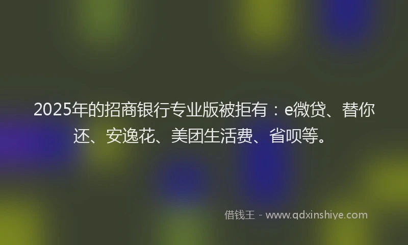2025年的招商银行专业版被拒有：e微贷、替你还、安逸花、美团生活费、省呗等。