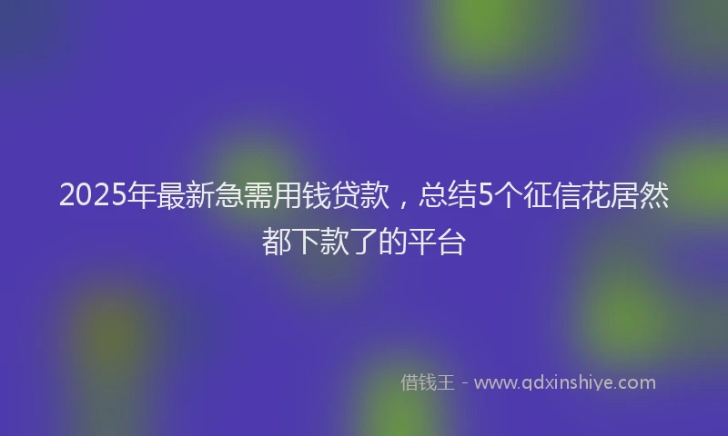 2025年最新急需用钱贷款，总结5个征信花居然都下款了的平台