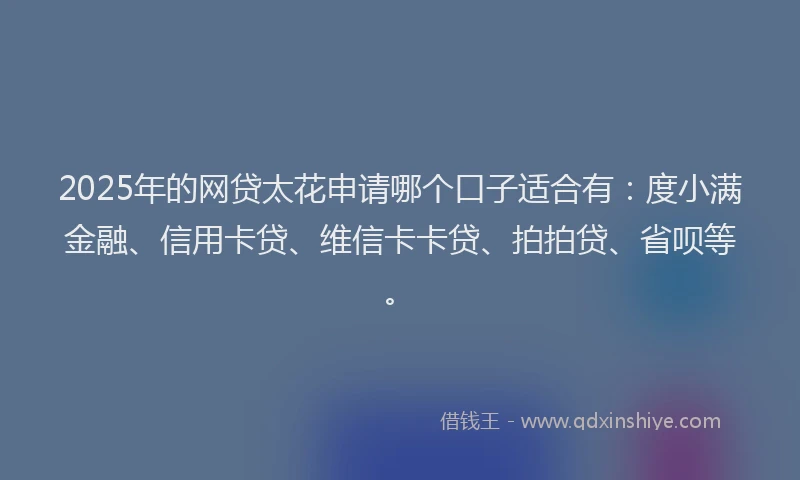 2025年的网贷太花申请哪个口子适合有：度小满金融、信用卡贷、维信卡卡贷、拍拍贷、省呗等。