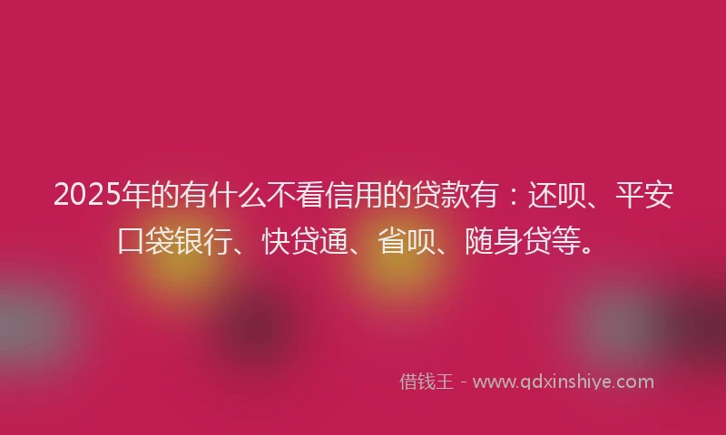 2025年的有什么不看信用的贷款有：还呗、平安口袋银行、快贷通、省呗、随身贷等。