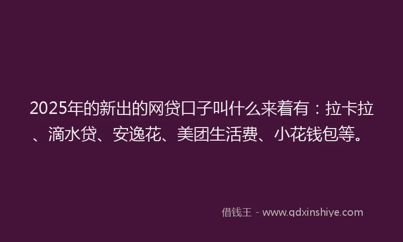 2025年的新出的网贷口子叫什么来着有：拉卡拉、滴水贷、安逸花、美团生活费、小花钱包等。