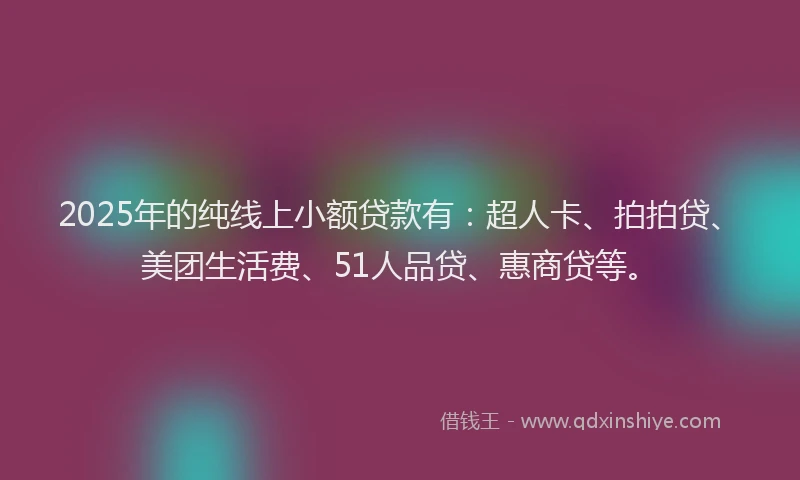 2025年的纯线上小额贷款有：超人卡、拍拍贷、美团生活费、51人品贷、惠商贷等。
