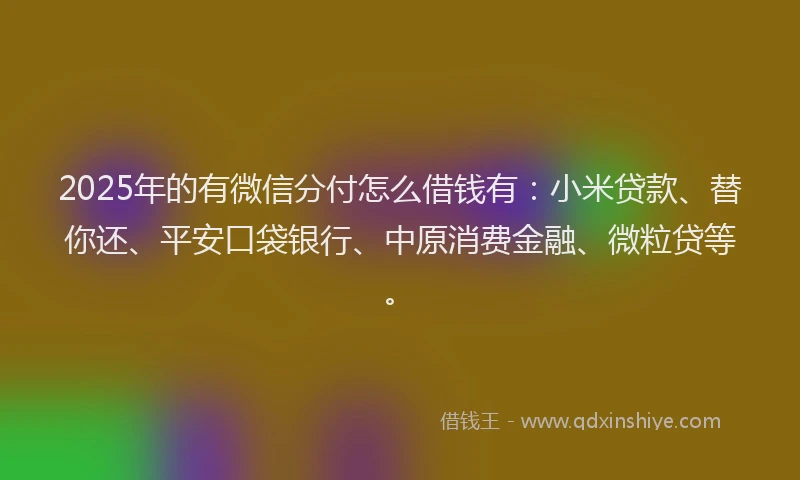 2025年的有微信分付怎么借钱有：小米贷款、替你还、平安口袋银行、中原消费金融、微粒贷等。