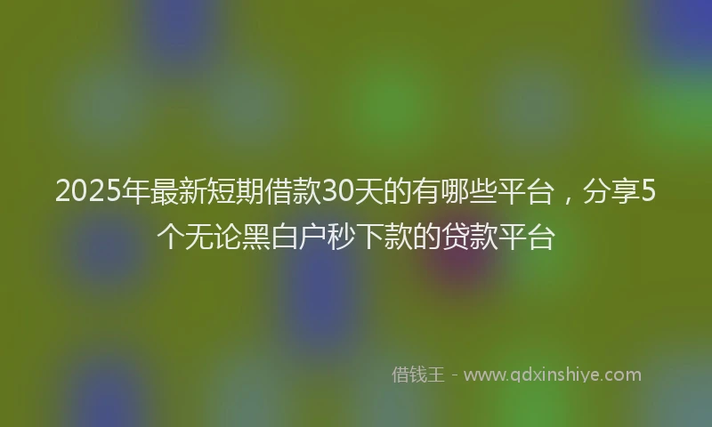 2025年最新短期借款30天的有哪些平台，分享5个无论黑白户秒下款的贷款平台