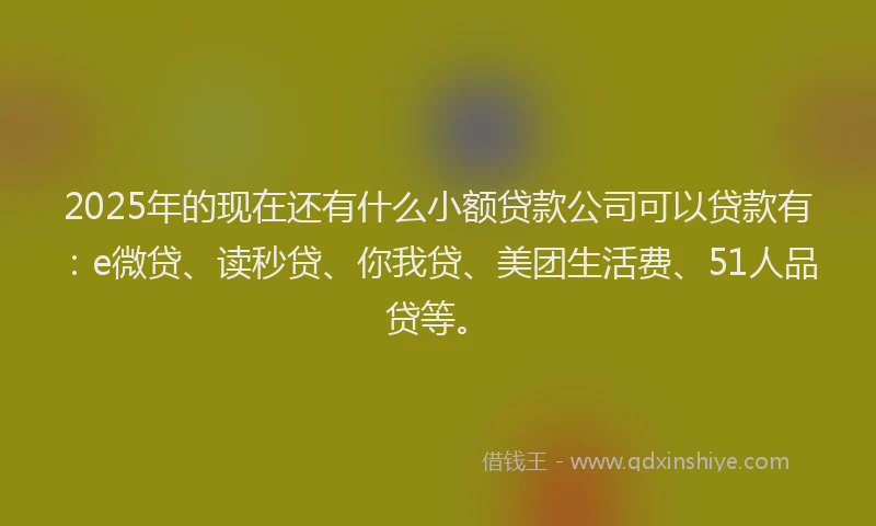 2025年的现在还有什么小额贷款公司可以贷款有：e微贷、读秒贷、你我贷、美团生活费、51人品贷等。