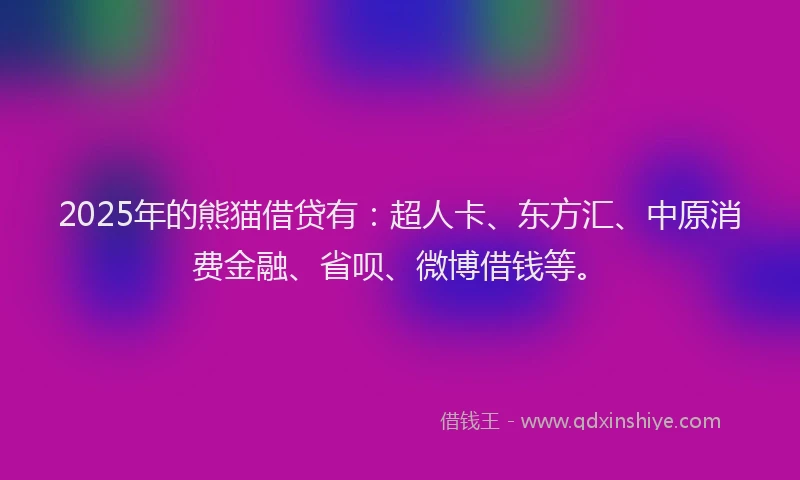 2025年的熊猫借贷有：超人卡、东方汇、中原消费金融、省呗、微博借钱等。