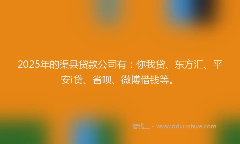 2025年的渠县贷款公司有：你我贷、东方汇、平安i贷、省呗、微博借钱等。