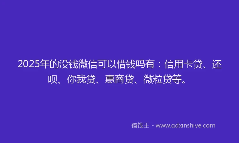 2025年的没钱微信可以借钱吗有：信用卡贷、还呗、你我贷、惠商贷、微粒贷等。