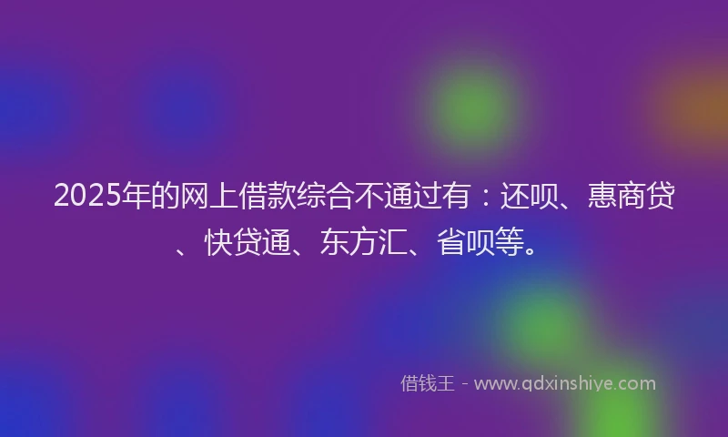 2025年的网上借款综合不通过有：还呗、惠商贷、快贷通、东方汇、省呗等。