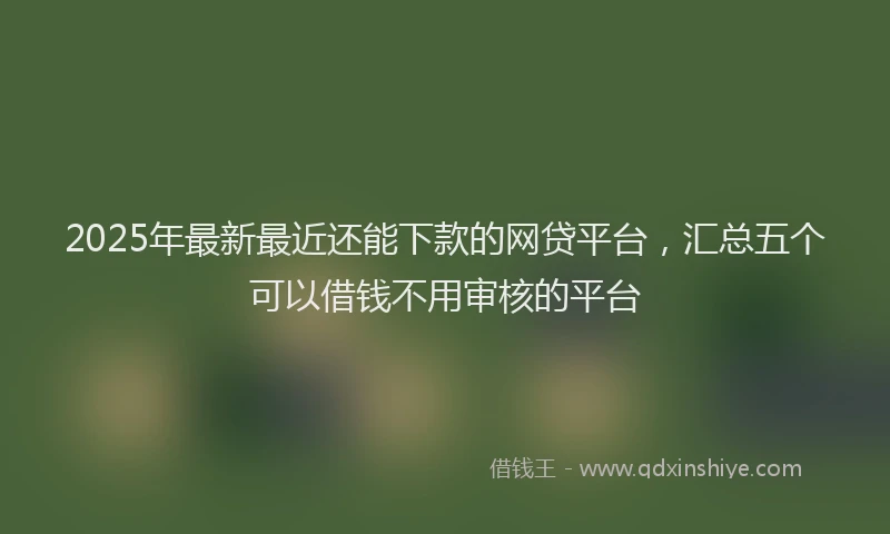 2025年最新最近还能下款的网贷平台，汇总五个可以借钱不用审核的平台