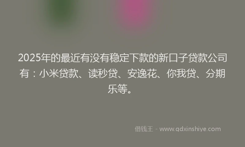 2025年的最近有没有稳定下款的新口子贷款公司有：小米贷款、读秒贷、安逸花、你我贷、分期乐等。