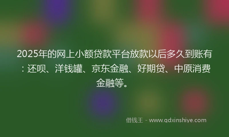 2025年的网上小额贷款平台放款以后多久到账有：还呗、洋钱罐、京东金融、好期贷、中原消费金融等。