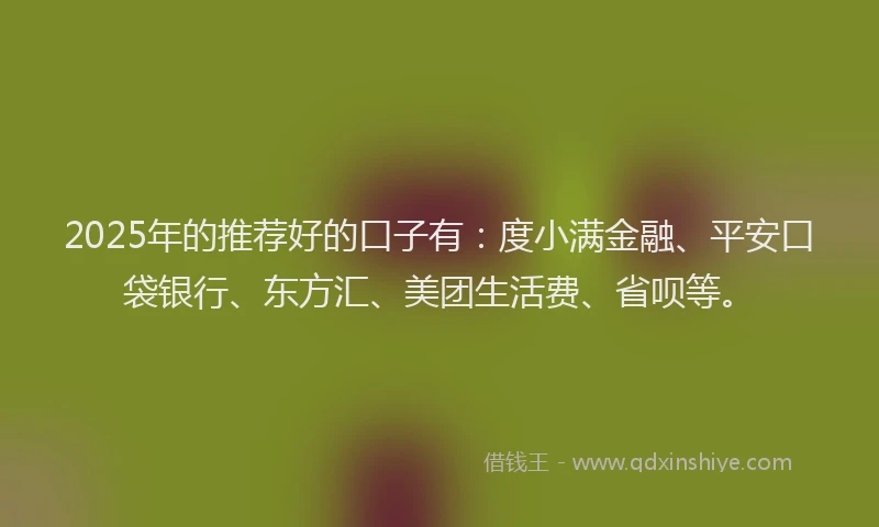 2025年的推荐好的口子有：度小满金融、平安口袋银行、东方汇、美团生活费、省呗等。